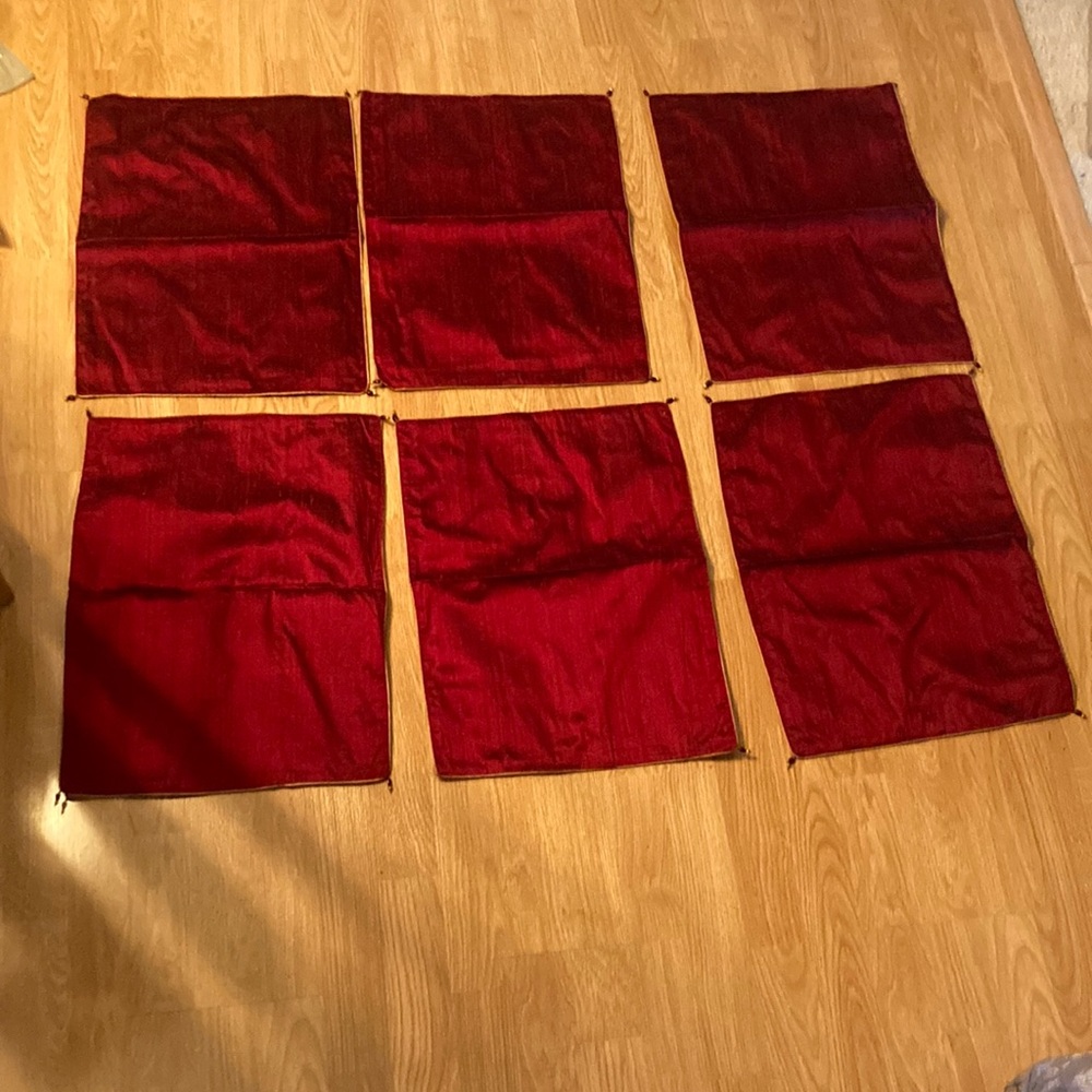 Crate & Barrel Chateau Placement 14” by 19” Claret 100% Dupione Silk made India